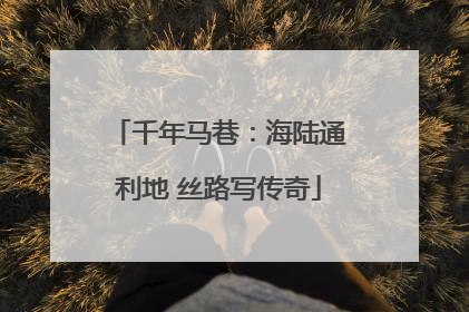 千年马巷：海陆通利地 丝路写传奇