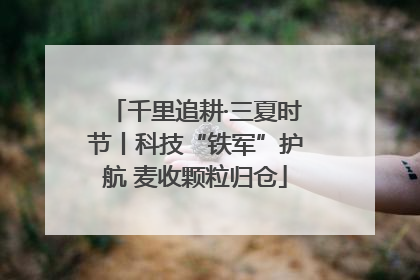 千里追耕·三夏时节丨科技“铁军”护航 麦收颗粒归仓