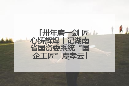 卅年磨一剑 匠心铸辉煌丨记湖南省国资委系统“国企工匠”虞孝云