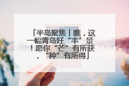 半岛聚焦丨瞧，这一幅青岛好“丰”景！愿你“芒”有所获，“种”有所得