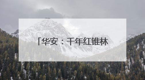 华安：千年红锥林守护乡村振兴路