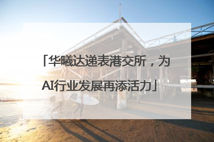 华曦达递表港交所，为AI行业发展再添活力