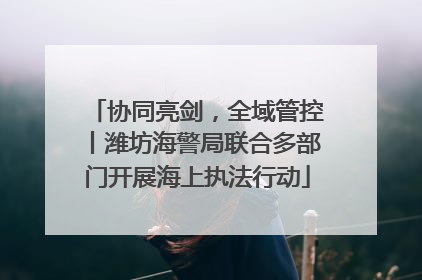 协同亮剑，全域管控丨潍坊海警局联合多部门开展海上执法行动