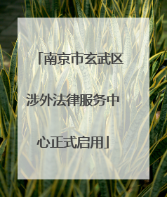 南京市玄武区涉外法律服务中心正式启用