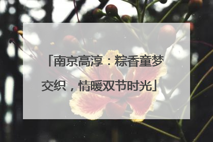 南京高淳：粽香童梦交织，情暖双节时光