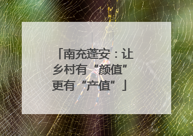 南充蓬安：让乡村有“颜值”更有“产值”