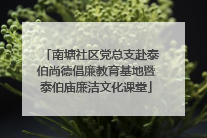 南塘社区党总支赴泰伯尚德倡廉教育基地暨泰伯庙廉洁文化课堂