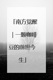 南方觉醒｜一颗咖啡豆的前世今生