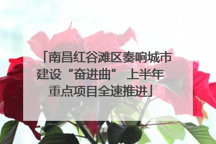 南昌红谷滩区奏响城市建设“奋进曲” 上半年重点项目全速推进