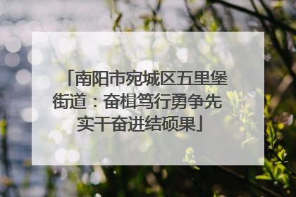 南阳市宛城区五里堡街道：奋楫笃行勇争先 实干奋进结硕果