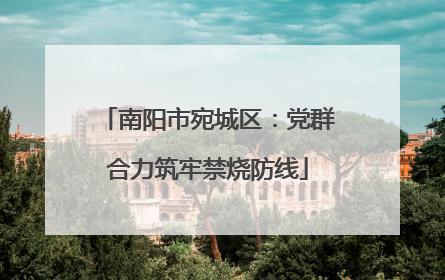 南阳市宛城区：党群合力筑牢禁烧防线