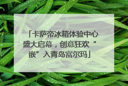 卡萨帝冰箱体验中心盛大启幕，创意狂欢“嵌”入青岛富尔玛