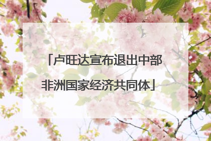 卢旺达宣布退出中部非洲国家经济共同体