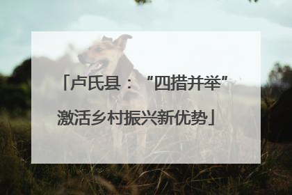 卢氏县：“四措并举”激活乡村振兴新优势