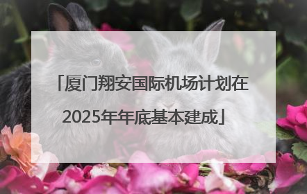 厦门翔安国际机场计划在2025年年底基本建成