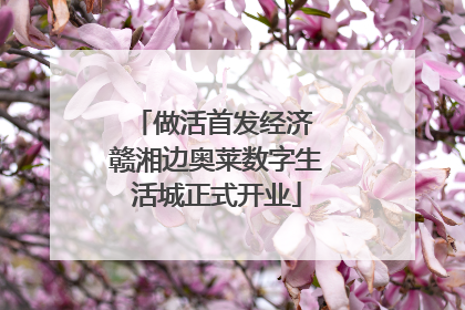 做活首发经济 赣湘边奥莱数字生活城正式开业