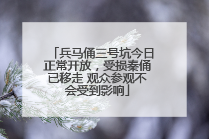 兵马俑三号坑今日正常开放，受损秦俑已移走 观众参观不会受到影响