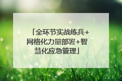 全环节实战练兵+网格化力量部署+智慧化应急管理