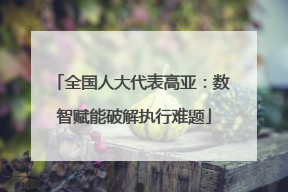 全国人大代表高亚：数智赋能破解执行难题