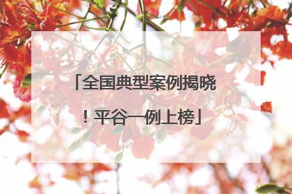 全国典型案例揭晓！平谷一例上榜
