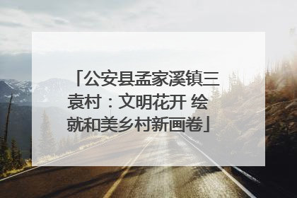 公安县孟家溪镇三袁村：文明花开 绘就和美乡村新画卷