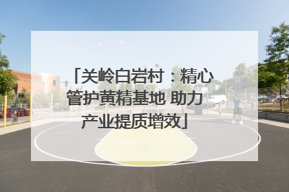 关岭白岩村：精心管护黄精基地 助力产业提质增效