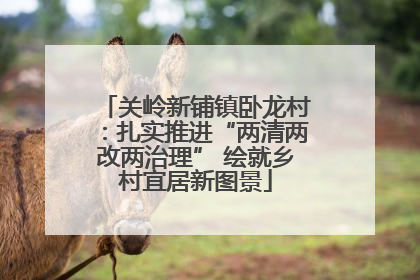 关岭新铺镇卧龙村：扎实推进“两清两改两治理” 绘就乡村宜居新图景