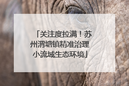 关注度拉满！苏州渭塘镇精准治理小流域生态环境