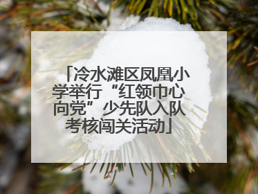 冷水滩区凤凰小学举行“红领巾心向党”少先队入队考核闯关活动