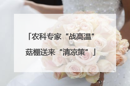农科专家“战高温” 菇棚送来“清凉策”