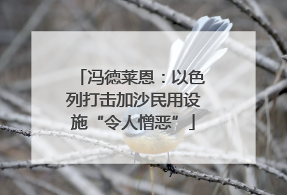 冯德莱恩：以色列打击加沙民用设施“令人憎恶”
