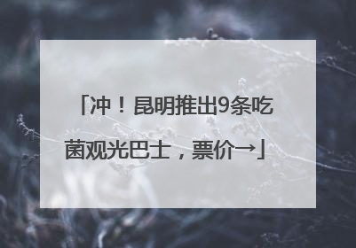 冲！昆明推出9条吃菌观光巴士，票价→