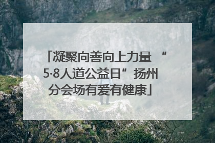 凝聚向善向上力量 “5·8人道公益日”扬州分会场有爱有健康