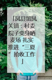 凤县留凤关镇：村委院子变身晒麦场 扎实推进“三夏”抢收工作