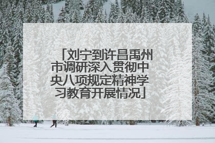 刘宁到许昌禹州市调研深入贯彻中央八项规定精神学习教育开展情况