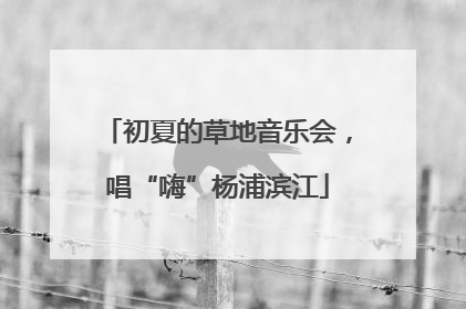 初夏的草地音乐会，唱“嗨”杨浦滨江
