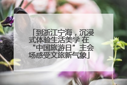 到浙江宁海，沉浸式体验生活美学 在“中国旅游日”主会场感受文旅新气象