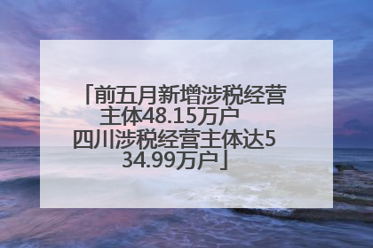 前五月新增涉税经营主体48.15万户 四川涉税经营主体达534.99万户