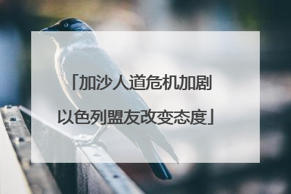 加沙人道危机加剧 以色列盟友改变态度