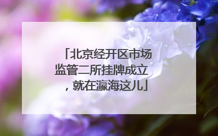 北京经开区市场监管二所挂牌成立，就在瀛海这儿