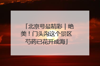 北京号最精彩｜绝美！门头沟这个景区芍药已花开成海