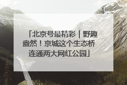 北京号最精彩｜野趣盎然！京城这个生态桥连通两大网红公园