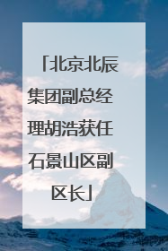 北京北辰集团副总经理胡浩获任石景山区副区长