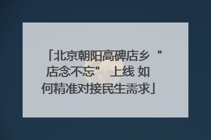 北京朝阳高碑店乡“店念不忘” 上线 如何精准对接民生需求