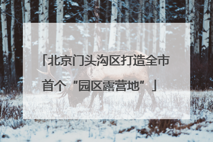 北京门头沟区打造全市首个“园区露营地”