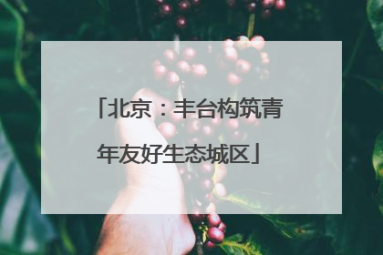 北京：丰台构筑青年友好生态城区