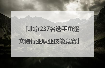 北京237名选手角逐文物行业职业技能竞赛