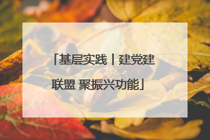 基层实践丨建党建联盟 聚振兴功能