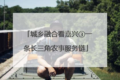 城乡融合看嘉兴③一条长三角农事服务链