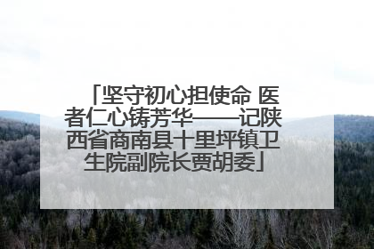 坚守初心担使命 医者仁心铸芳华——记陕西省商南县十里坪镇卫生院副院长贾胡委